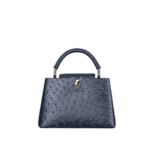 LV Women's Capucines Bb handbag