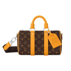 LV travel bag